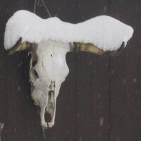 John Lamson (@lamsonj) 's Twitter Profile