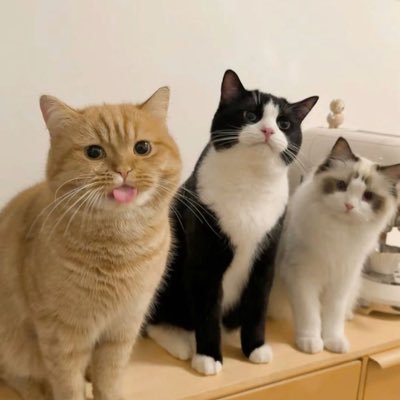 AppleGamingCat's profile picture. 