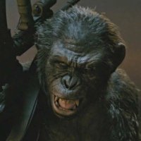Kaiju (Ape pilled arc)(@KaijuMp4) 's Twitter Profile Photo