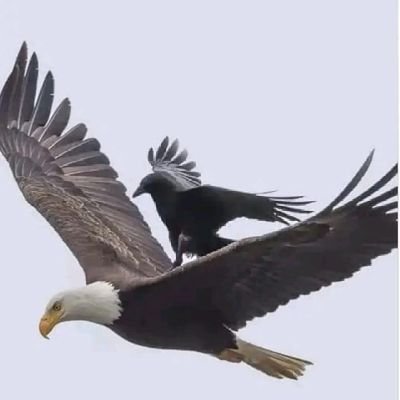 EJITEX6's profile picture. merchandise on sales. considering gaming what you have for a better self landing.