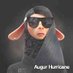 Augur Hurricane (@aaugurhurrican) Twitter profile photo