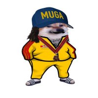 Urinsekt 🎖️ (@badenfella) Twitter profile photo