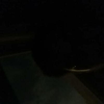 goekhanita's profile picture. ısıklar icinde yuruyelim