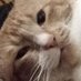 Mañoso (@elpatonaranja) Twitter profile photo Mañoso (@elpatonaranja) Twitter profile photo