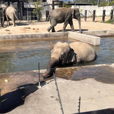 動物園大好きです❤️