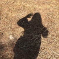 Tania ❣️ (@eadeeva) 's Twitter Profile Photo Tania ❣️ (@eadeeva) 's Twitter Profile Photo
