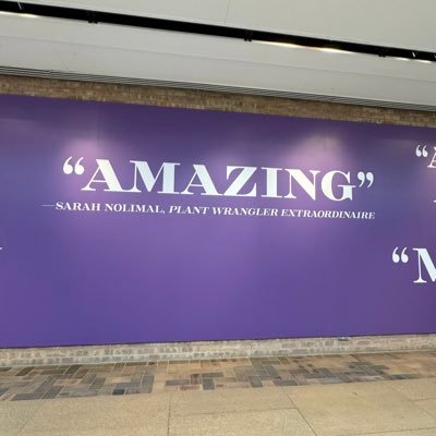 icequeen8331's profile picture. 