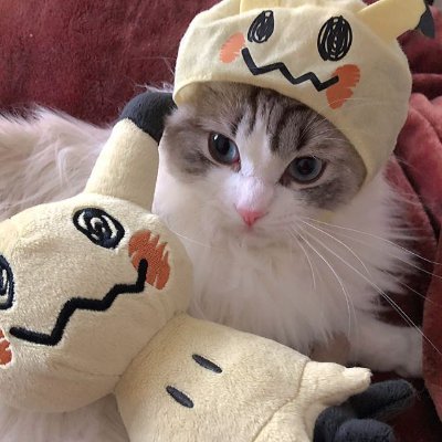 archangehl Profile Picture