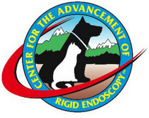 rigidendoscopy's profile picture. 