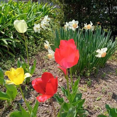 思うがままに呟きます。
母の認知症のことなど　ネガティブな呟きが多め。
落合博満　野村克也　前田智徳
辻発彦　山下達郎　サザンオールスターズ　ドリカムは思い入れ深き