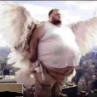 Crypto4bailout🐐 (@haadam_) 's Twitter Profile