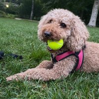 Claudia dโAntoine (@secretgardenctf) 's Twitter Profile Photo Claudia dโAntoine (@secretgardenctf) 's Twitter Profile Photo