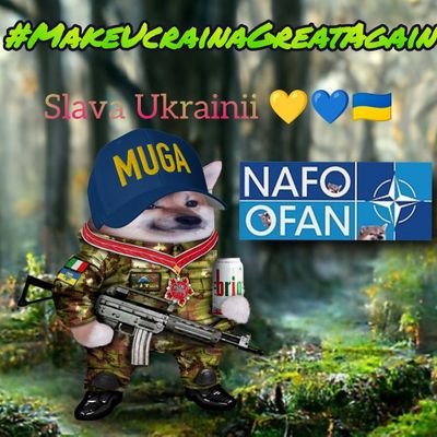 NafoGrimSKCFella 🇮🇹🇺🇦 🇬🇪🎗️#ukrainesupport