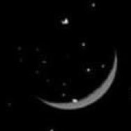 moon1733195 Profile Picture