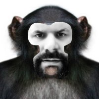 DR KEK (@drkekq) 's Twitter Profile