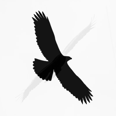TmAquila's profile picture. 
