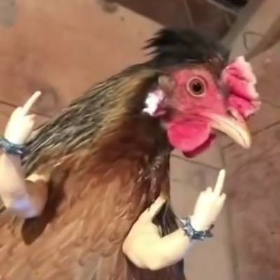 claraxidina's profile picture. boa e ridicula