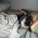 Sarah Bosque - @BosqueSarah04 - Twitter