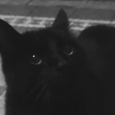 Johan1197389's profile picture. 