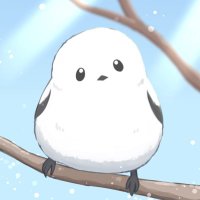 はむつき(鳥) (@hamutsukimk2) 's Twitter Profile