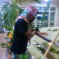 π£ GZ DOLLARS π΅ (@georgetogzd) 's Twitter Profile