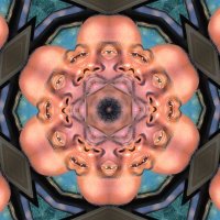 HighVibe π₯π₯π₯ (@highvibeasests) 's Twitter Profile