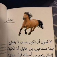 سحاقيه عدن (@amne69779) Twitter profile photo