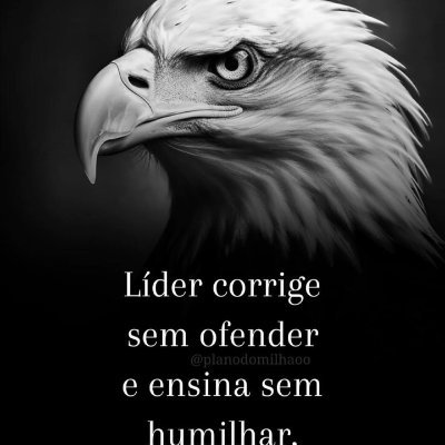 joseraimundofo5's profile picture. É só ativar o arquétipo certo,que dá certo!