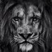 Jameson Grande (@markogrey69) Twitter profile photo Jameson Grande (@markogrey69) Twitter profile photo