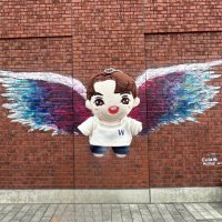 Yori (@yori012az) 's Twitter Profile Photo