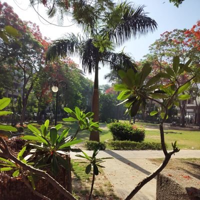 Tothegroovenow's profile picture. Here to get out of the rut and grow