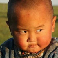 🇲🇳 Монгол хүү 🧑‍💻 (@m0ngolhuu) 's Twitter Profile Photo