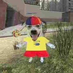 yesIagree______'s profile picture. 