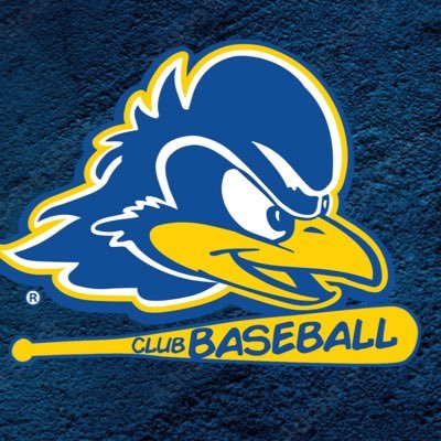 Official Twitter of the University of Delaware Club Baseball | 8x North Atlantic East Champs | 2014 REGIONAL CHAMPIONS | 2021/22: 19-4