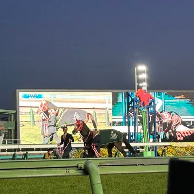 競馬、阪神が好きです