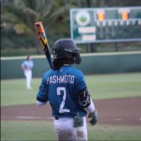 Taydem Hashimoto (@t_hash12) 's Twitter Profile