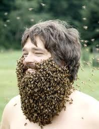 BeekeepingGuy's profile picture. I'm so crazy about beekeeping that I let bees crawl all over my body.