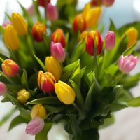 Leintje 🎗️🇳🇱 (@leinepijne) 's Twitter Profile Photo Leintje 🎗️🇳🇱 (@leinepijne) 's Twitter Profile Photo