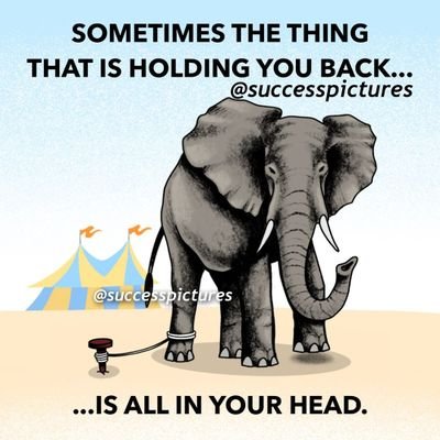 EmNehohwa's profile picture. Patience is a virtue, don't let people knock you down with discouragement