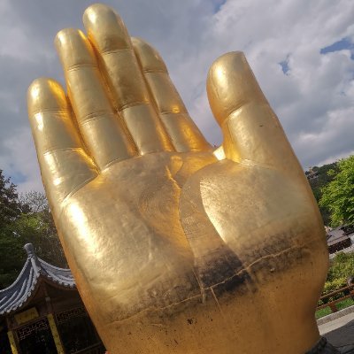 @ning6661066982