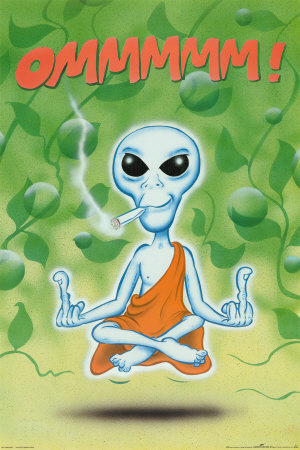 AlienShaman's profile picture. Quietly watching the spectacle unfold.. contributing the odd unsane contemplation.. I'm just an observer.. not a follower - unless.. =]