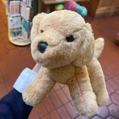 8LmWgP5TAS74574's profile picture. +1 | 2N | Fem Bottom