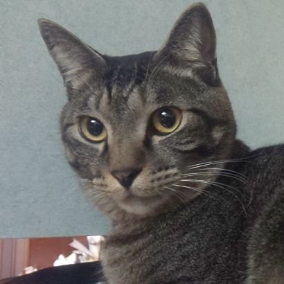 ichirose3357's profile picture. 推し事用アカウント！