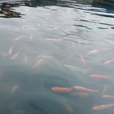 Nugroho7333's profile picture. Time to late to some peple
wake up to reach the future