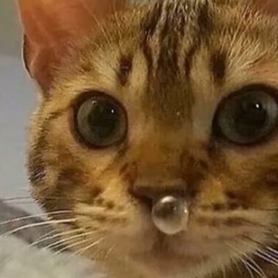 magdy_izm's profile picture. stand up