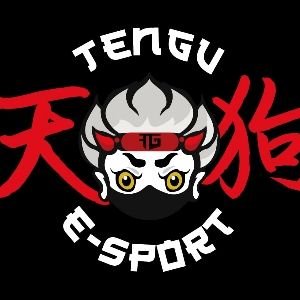 La Tengu est une Team Esport sur Rocket League basé sur le tryhard et la détermination 🔥