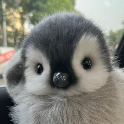 Join the peanie patrol / CTO 🐧 / CA: dekNoN3D8mXa4JHLwTbVXz8aPAyJUkk443UjcSpJKi4
