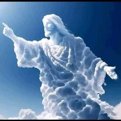 murshad8900's profile picture. 