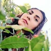 Nc (@nczargar) Twitter profile photo