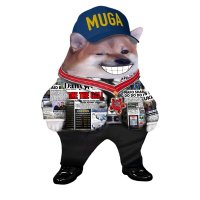 DAILY FELLA (@dailyfellanews) 's Twitter Profile Photo DAILY FELLA (@dailyfellanews) 's Twitter Profile Photo